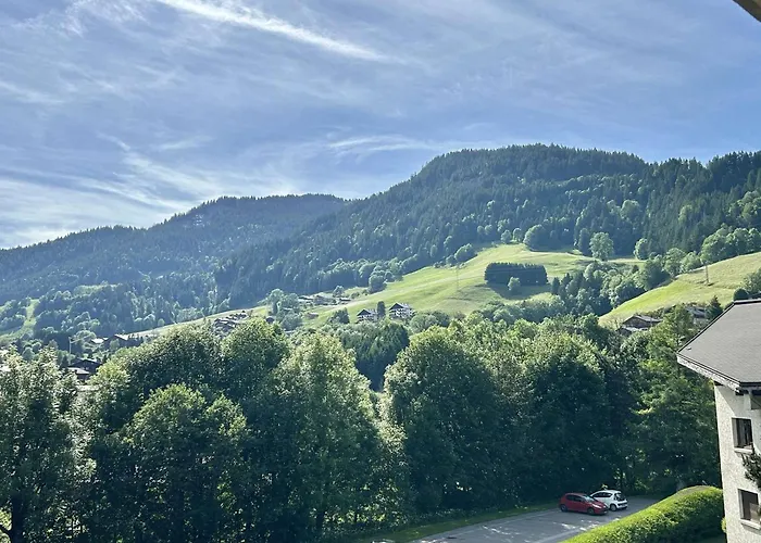 Avec Piscine Chauffee, Tennis & Balcon - 4 Couchages A - Fr-1-597-14 * 梅杰夫